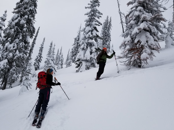 Avalanche Skills Training Level 1 for skiers (AST1)